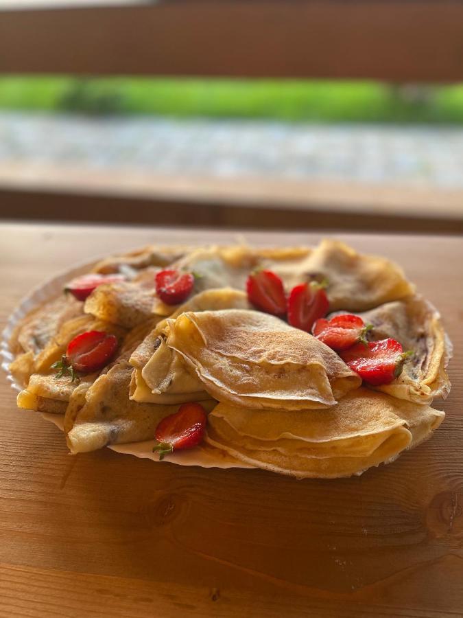 Pensiunea Coronita Vişeu de Sus 外观 照片